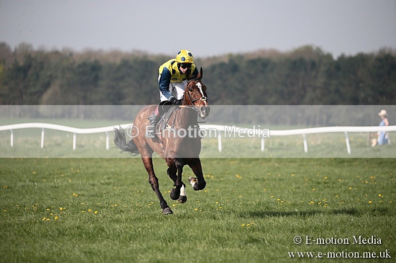 PtP 210418 440 - South & West Wilts Point-to-Point Larkhill 21/04/18