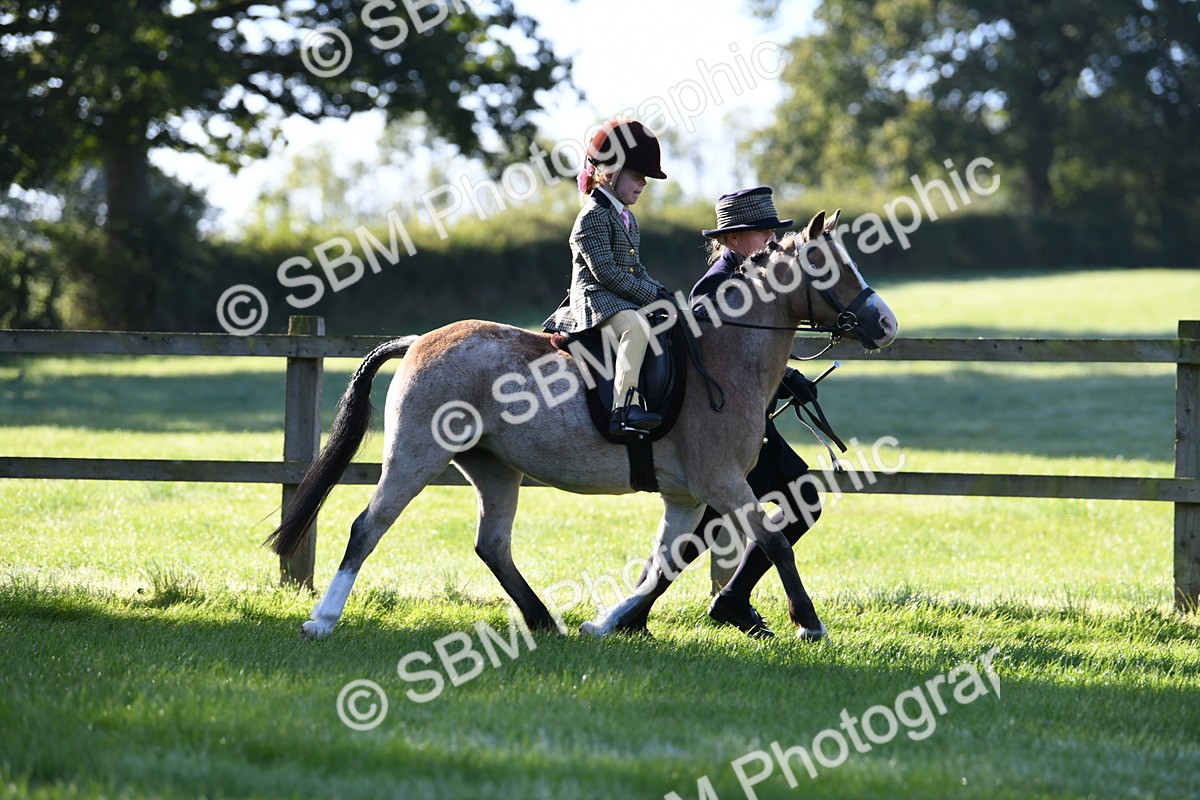 SBM_35350 - S17 - Condition & Turnout - Lead Rein