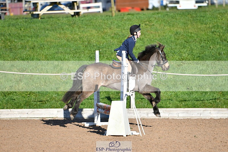 231202A-130319-01392 - Cls 02 50cm