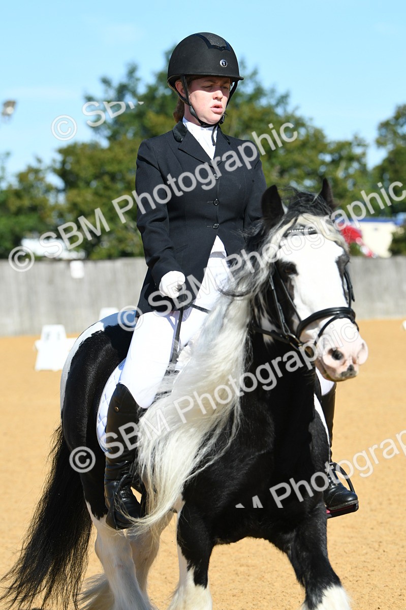 SBM_18084 - D4 - Small Tour Championship - Intro B