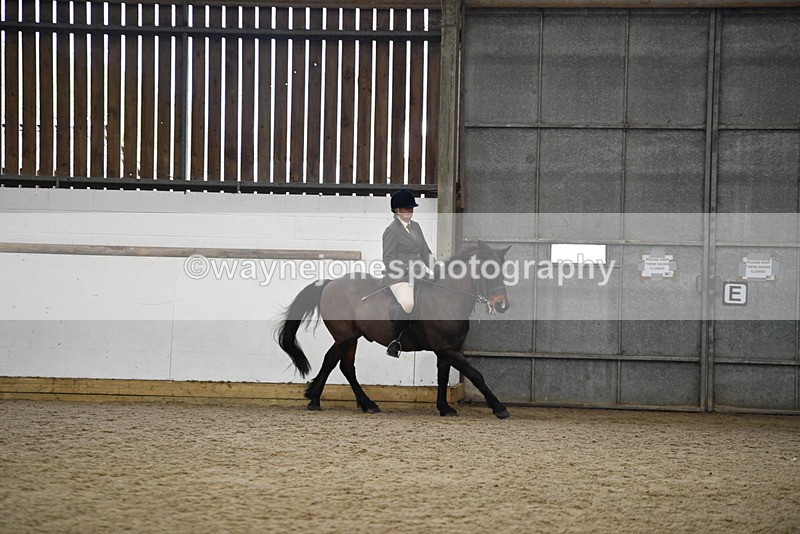 WJ5_6168 - Class 9 Ridden Veteran