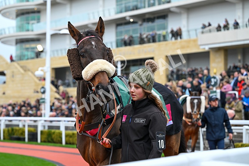 151125-Race 2-Hung Jury-2296 - Race 2