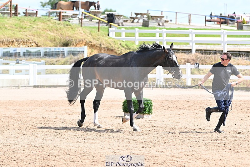 240717A-151420-02670 - Trot Up 3pm to 4pm