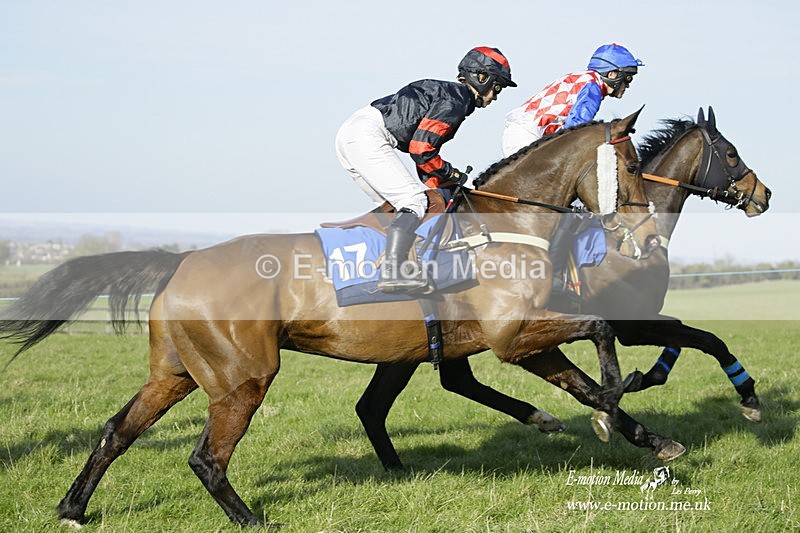 PtP 260222 686 - Kingston Blount Racing Club Point-to-Point 26/02/22