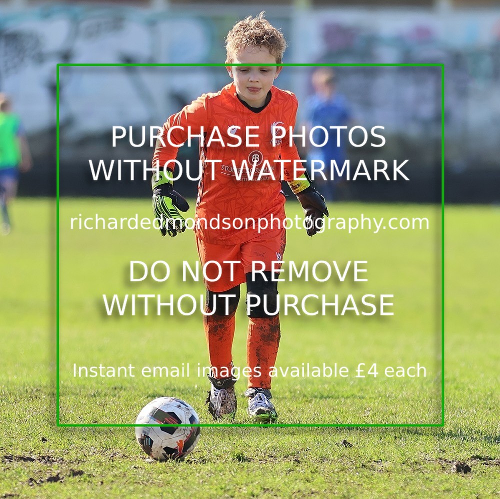 533A7804 - Ibis Under 8's (14/3/26)