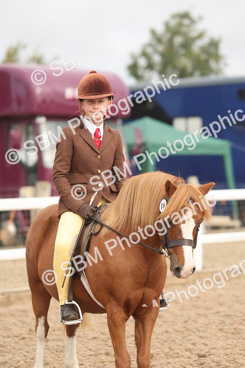 SBM_01988 - Class 14 - Ridden M&M Wildcard