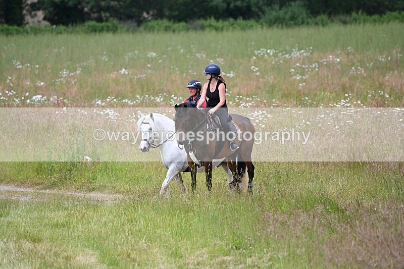 WJ6_8016 - Camera 1 Gallops