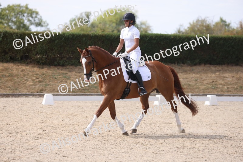 20260815-0974 - Class 5 - Novice 1