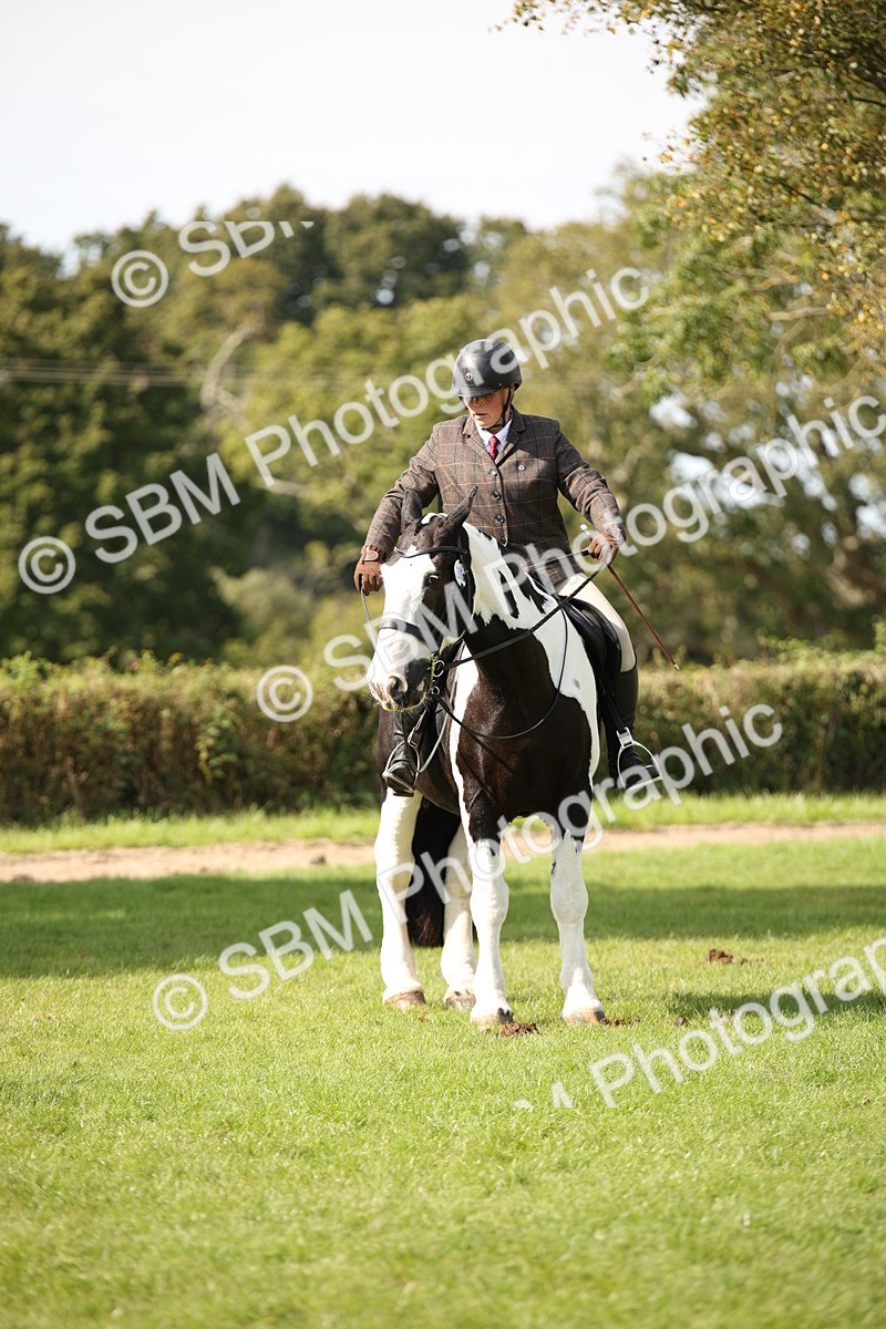 SBM_70141 - S65 - Piebald & Skewbald Horse Ridden