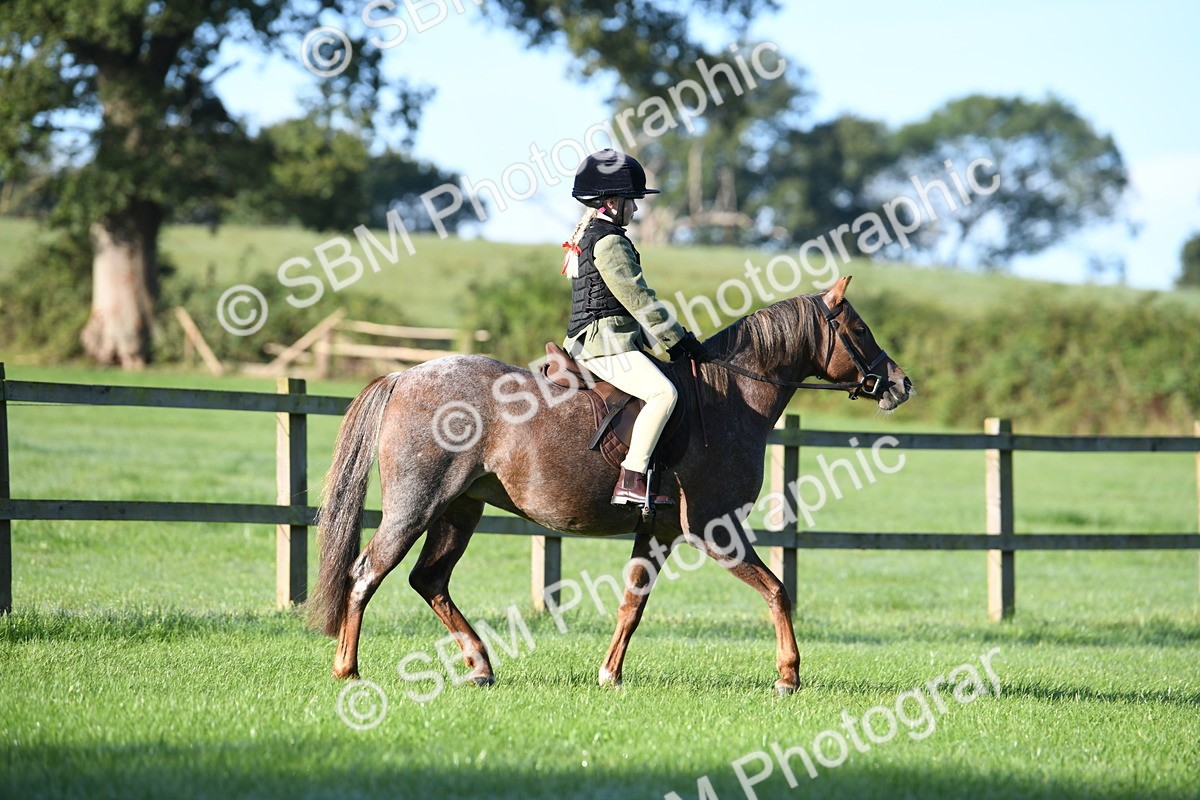 SBM_33956 - S16 - Condition & Turnout - Ridden
