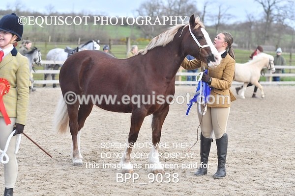 BPP_9038 - RING 2 - M&M