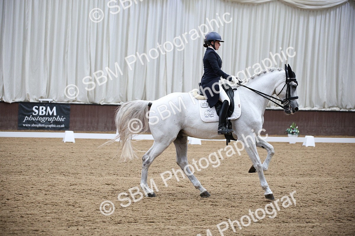 SBM_008066 - Class 12 - FEI PSG 14.46-15.50