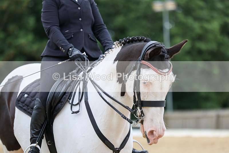 3E7A0985 - Class 7: Elementary 1 2024