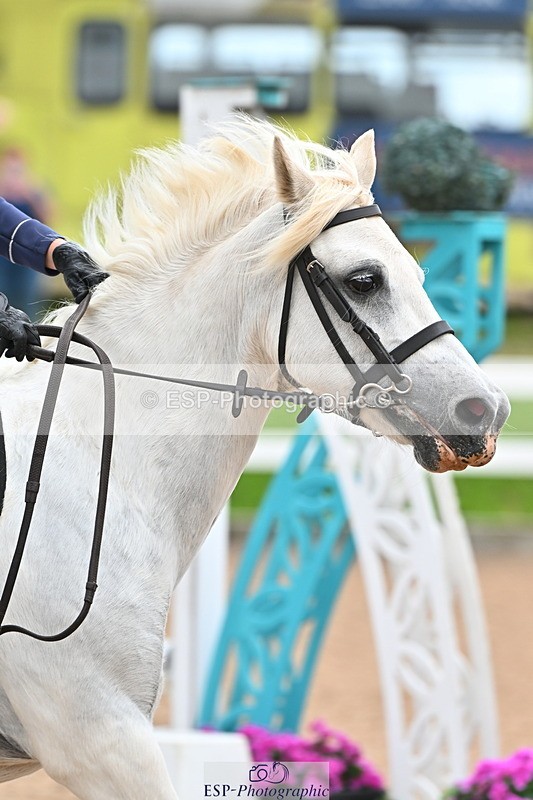 240723A-160544-00086 - 50cm and 60cm