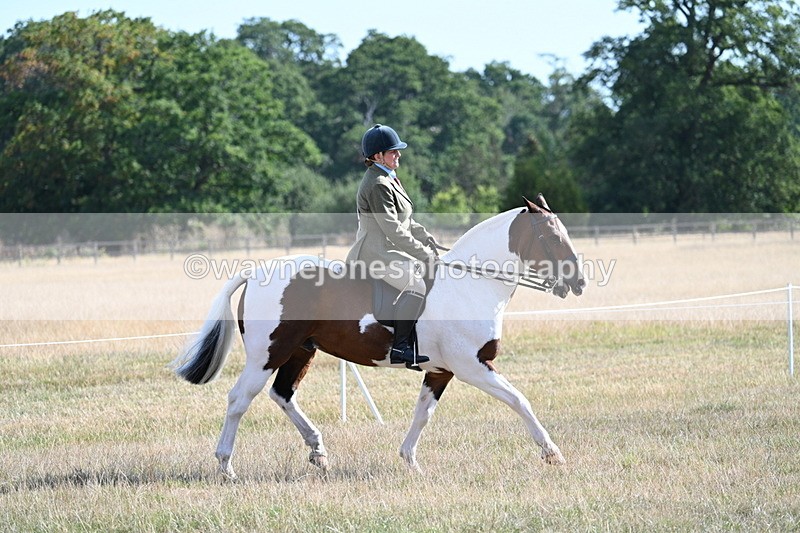 WJ7_2816 - Class 8 Ridden Tack & Turnout