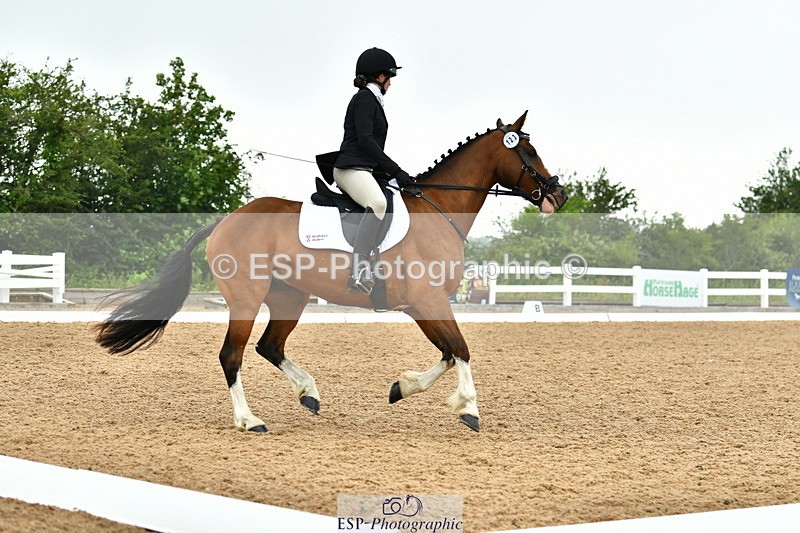 230708A-115237-02647 - Prelim 13