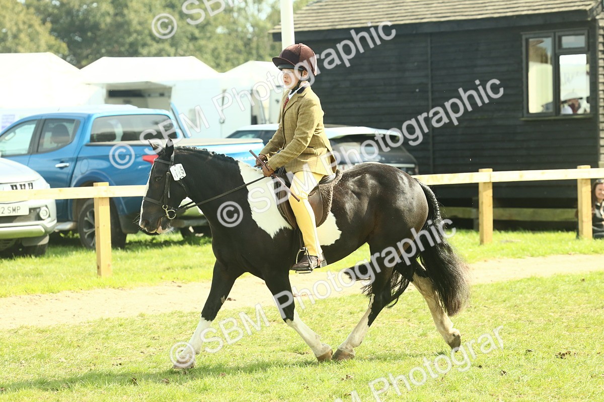 SBM_68883 - S58 - Mini Show Cob Ridden