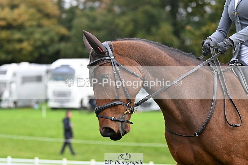 251023A-114758-03687 - G-516-Zara.Bucknell