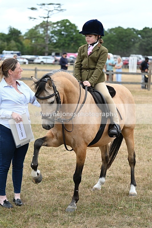 WJ7_7400 - Class 2 Best Rider