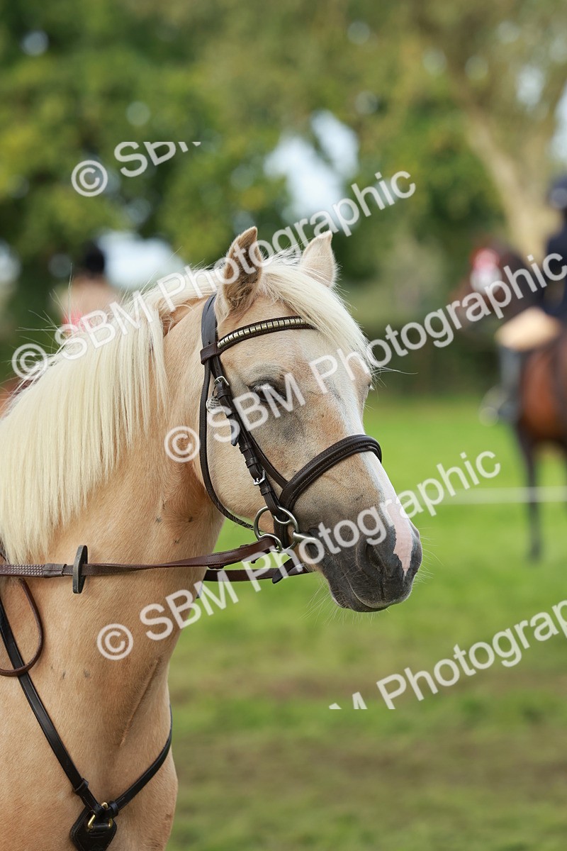 SBM_56453 - S39 - Starters In Hand Showing