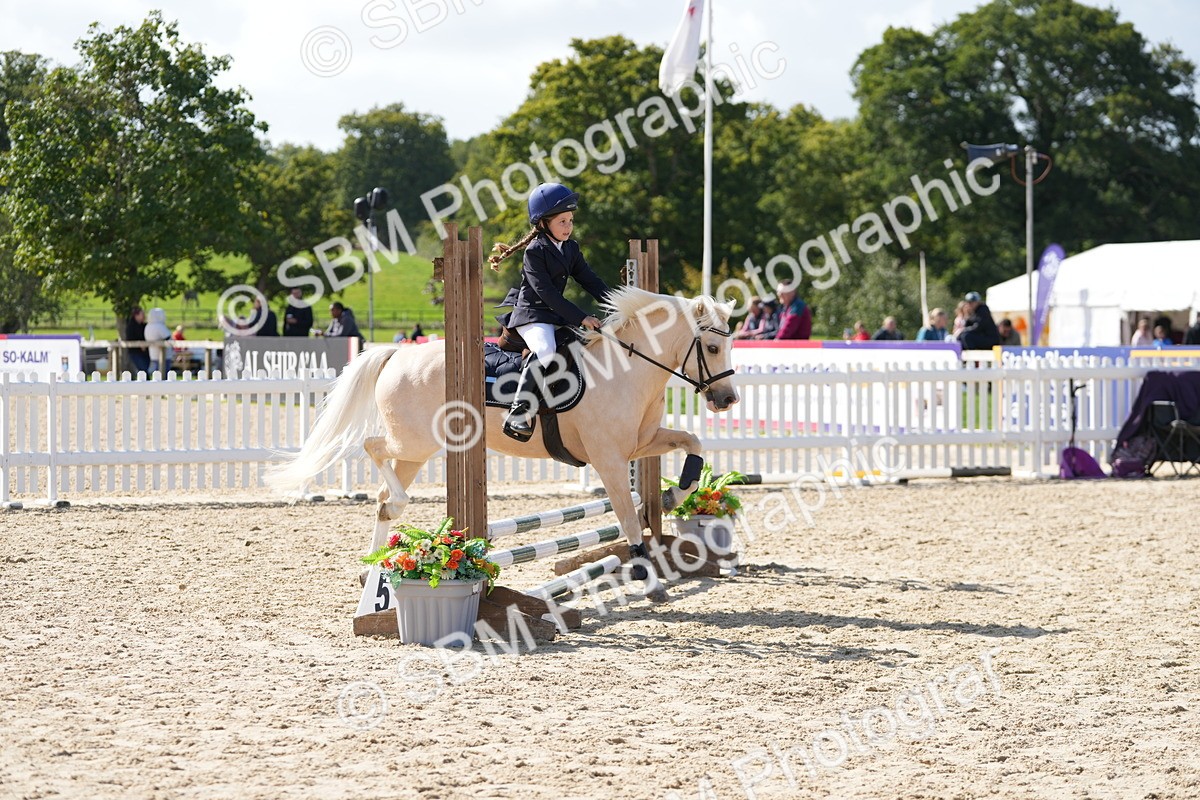 SBM_17963 - J58 - Clear Round 50cm