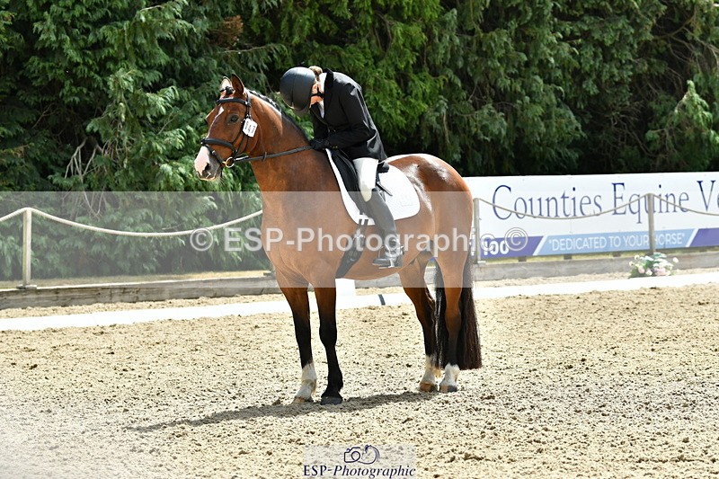 260801A-124607-04055 - Prelim Bronze Break - End