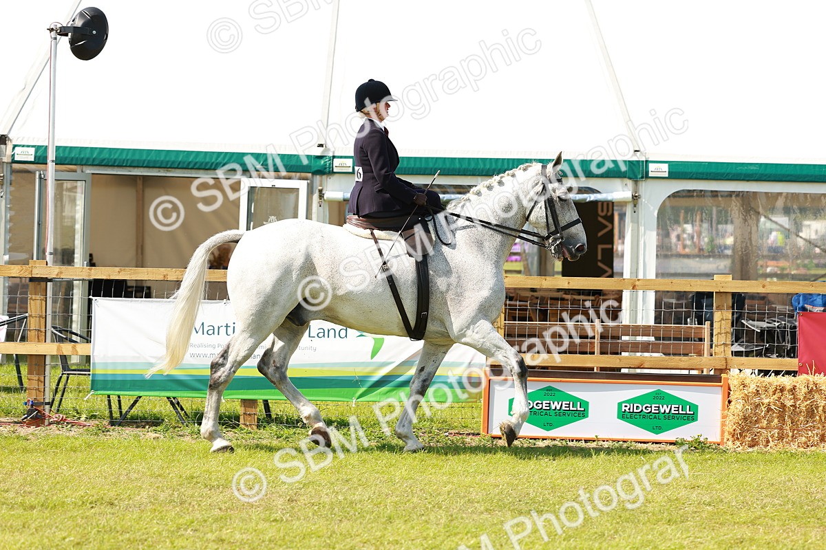 SBM_13314 - Class 70-71 - Side Saddle