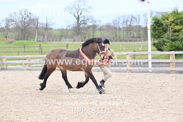 BPP_8101 - SUPREME CHAMPIONSHIP