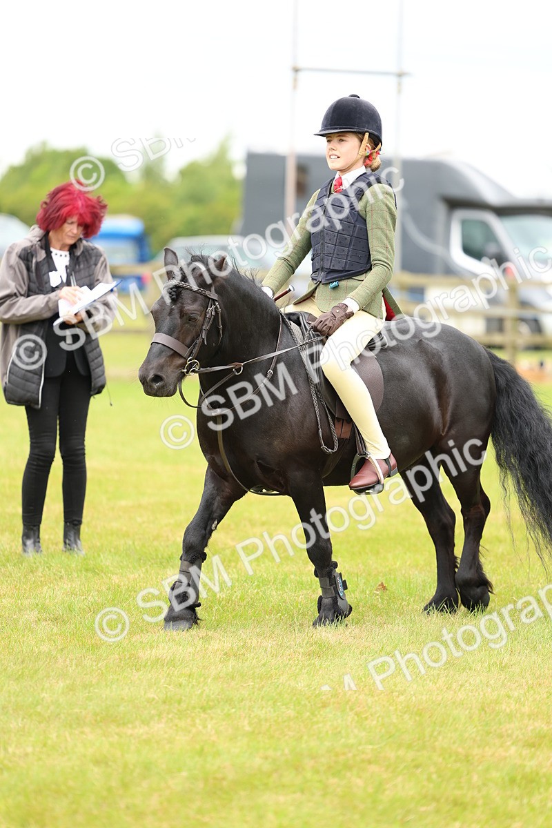 SBM_10317 - Class 44-45 - LIHS BSPS Open Nursery and Cradle Stakes
