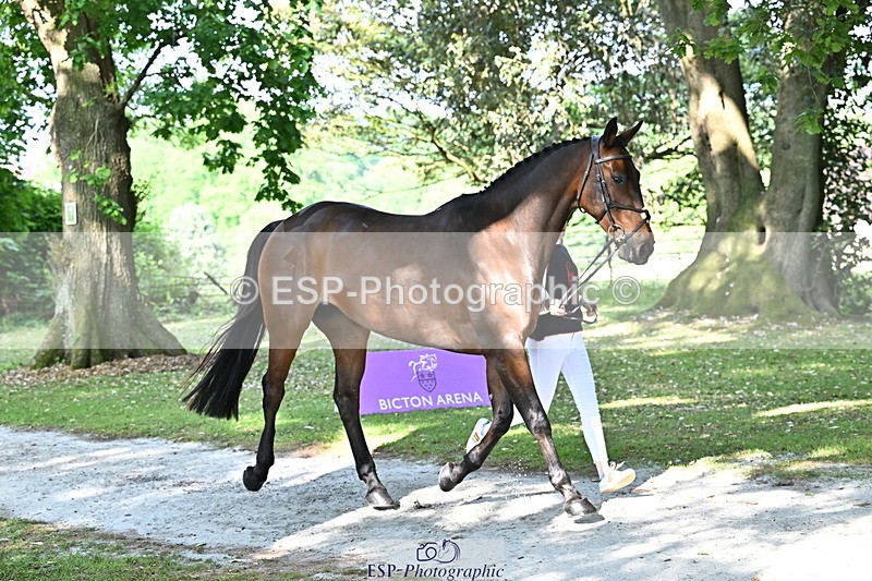 250521A-165038-01370 - C-266-Izzi.Best-BROCKAGH.DOR