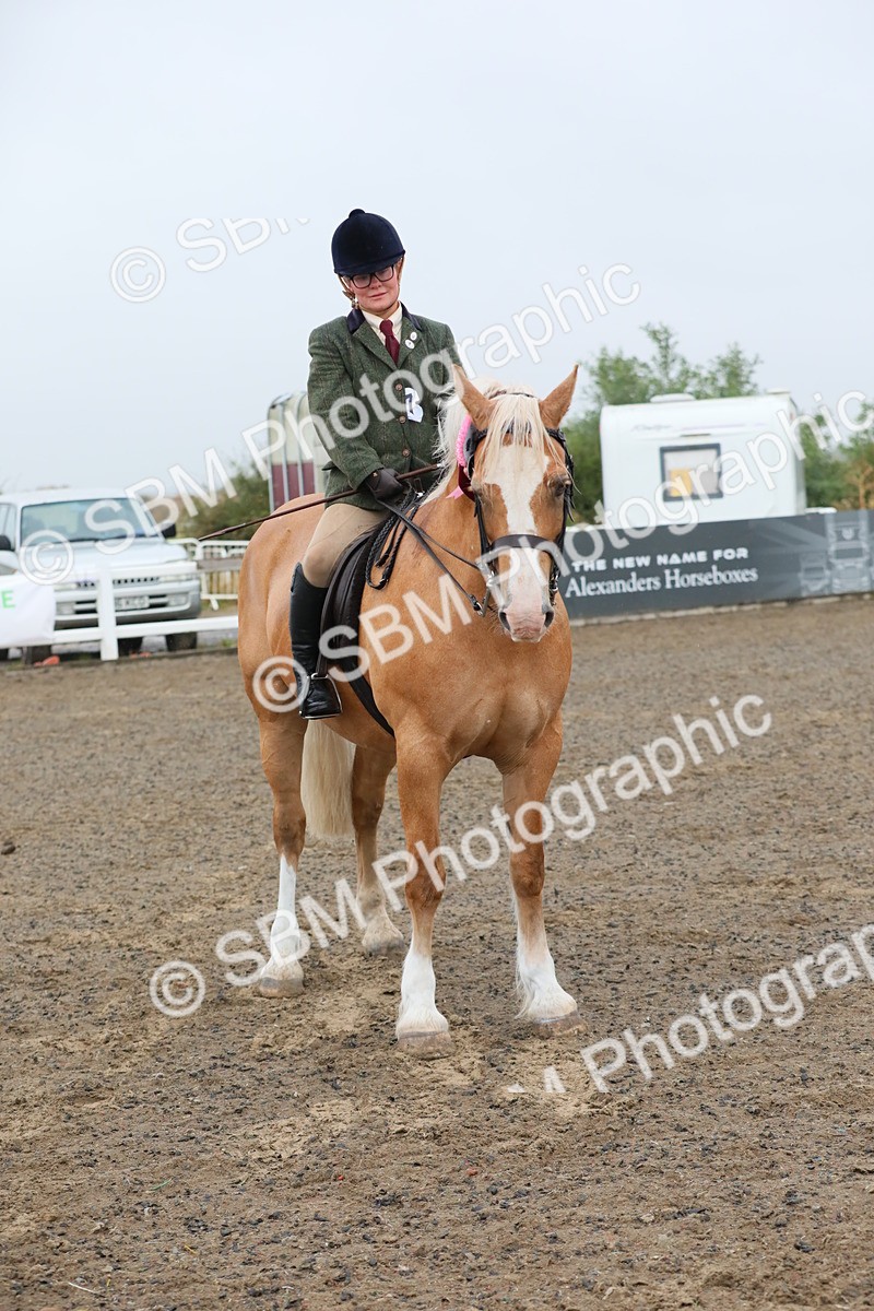 SBM_20397 - Class 803 - Ridden Combination 65+