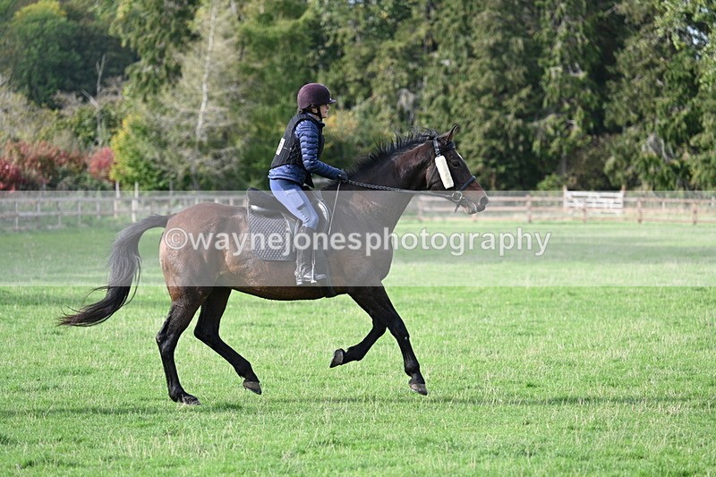 WJ7_1113 - Time 14:27 to 15:11