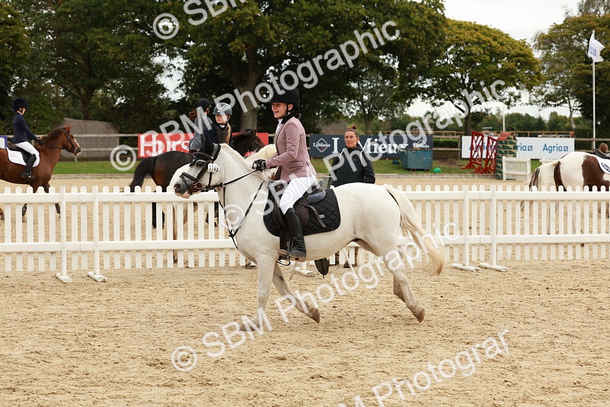 SBM_65362 - Supreme Championship 50cm & 55cm