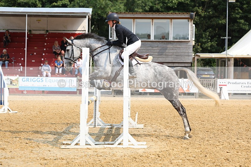 3E7A1187 - Class 4: Senior British Novice/90cm open