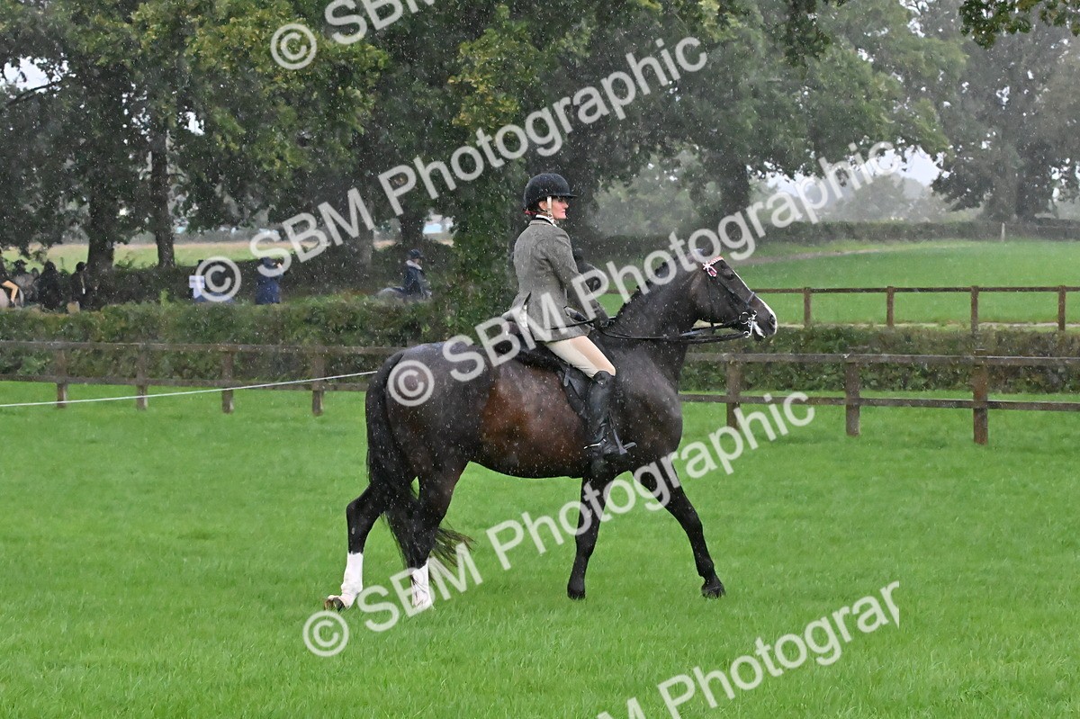 SBM_35627 - S16 - Top Turnout - Ridden