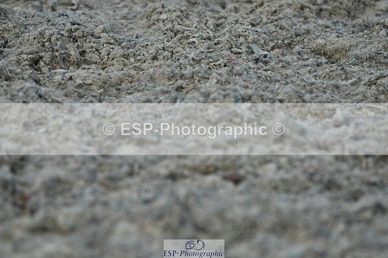 230623-184113-03319 - Cls 11 FEI PSG