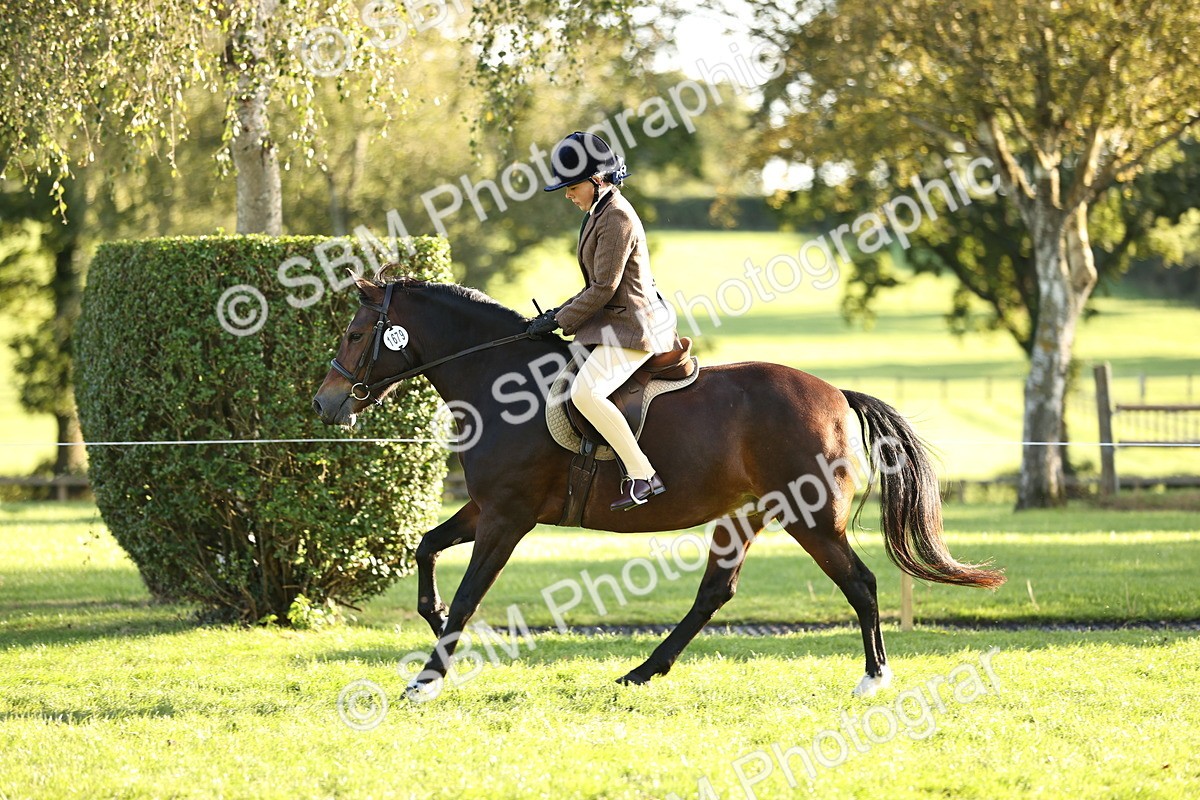 SBM_29616 - S7 - Novice & Newcomers Ridden Pony