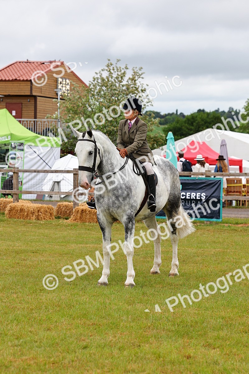 SBM_02551 - Class 9-11 Side Saddle including LIHS Rising Star Ladies Show Horse