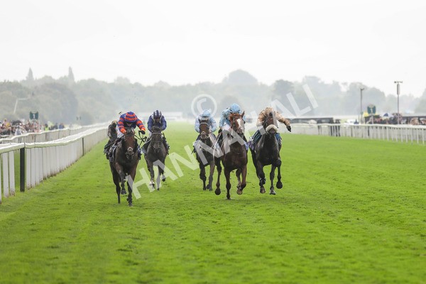 080924-Race 4-Zain Blue-4467 - Race 4 3.25pm PJ Staffing Group Handicap