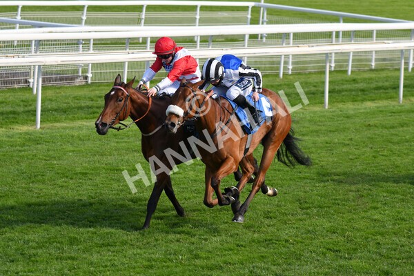 yr13052021r7-21 - Race 7 4.50pm Autohorn Stakes