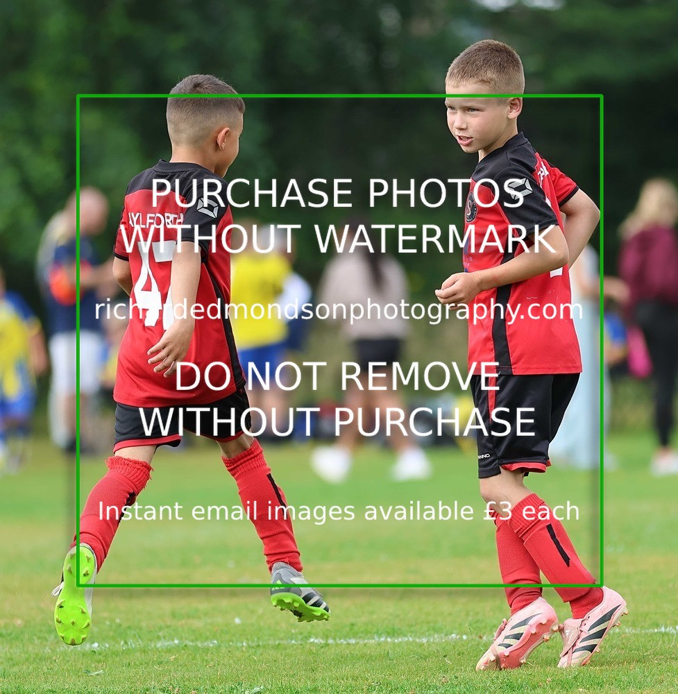 533A3035 - Sedbergh Wanderers (morning Ibis)