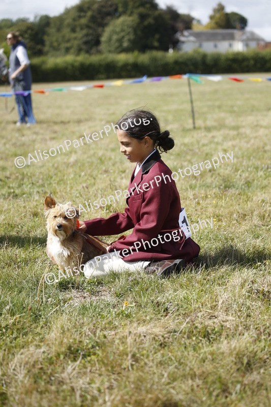 20250831-3704 - Dog Show