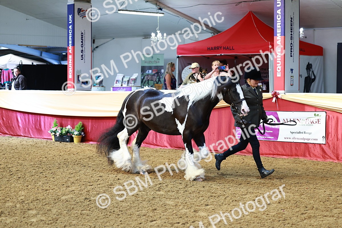 SBM_23042 - Class 903 - Supreme Final - IH Pre Vet