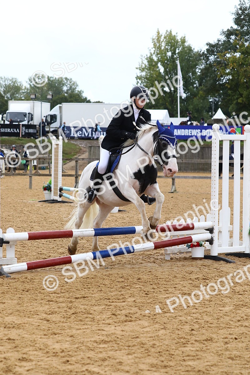 SBM_60129 - J63 - Junior Pony 50cm Championship