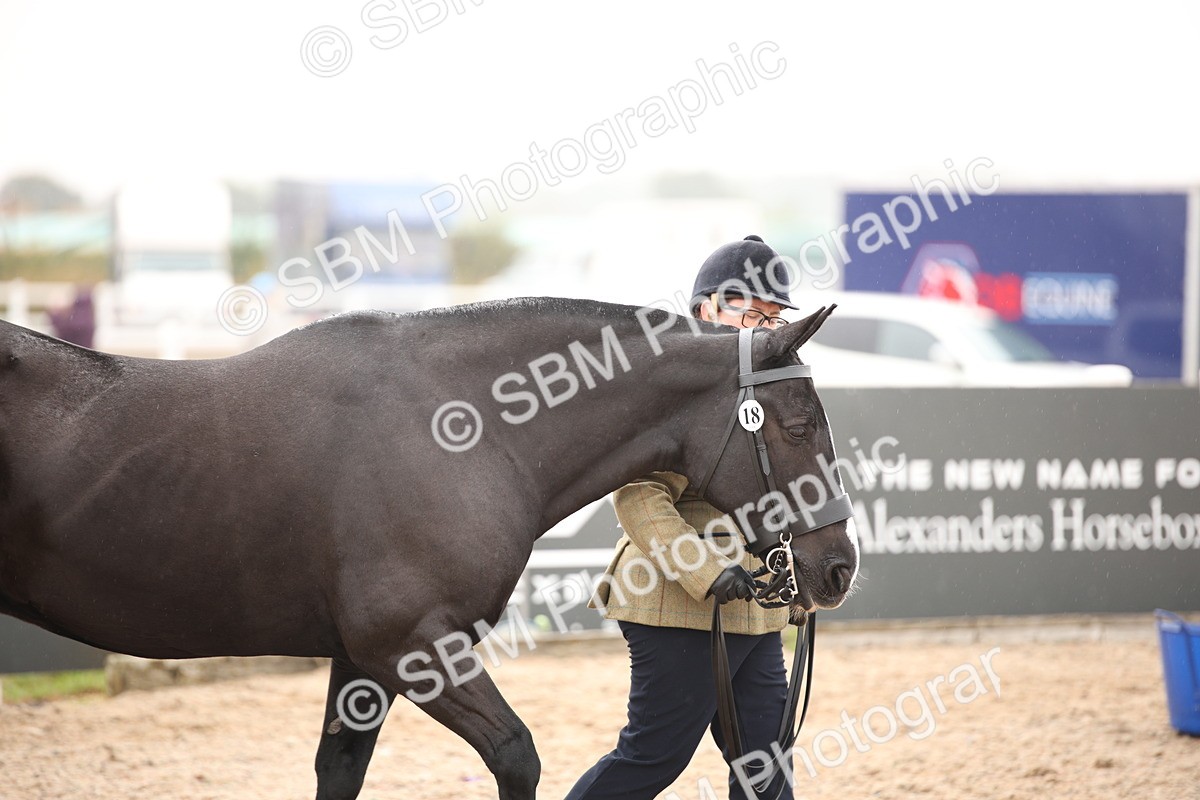 SBM_19312 - Class 701 - Best Turned Out IH & Ridden