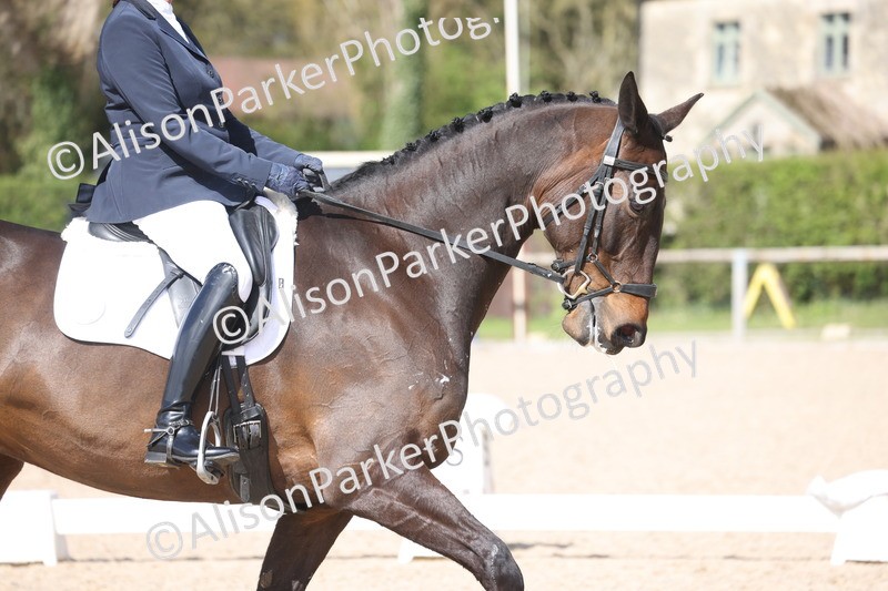 20260405-0549 - Class 7 - Medium 5