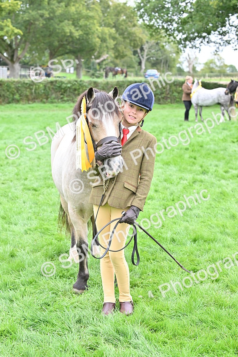 SBM_61072 - S48 - Mountain & Moorland In Hand Small Breeds