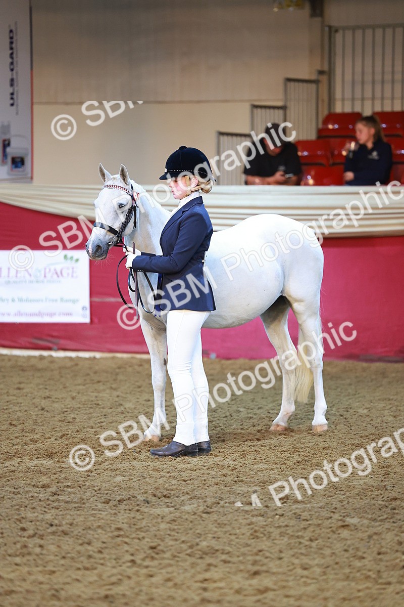 SBM_14724 - Class B - Junior Champ 11 to 16 Years