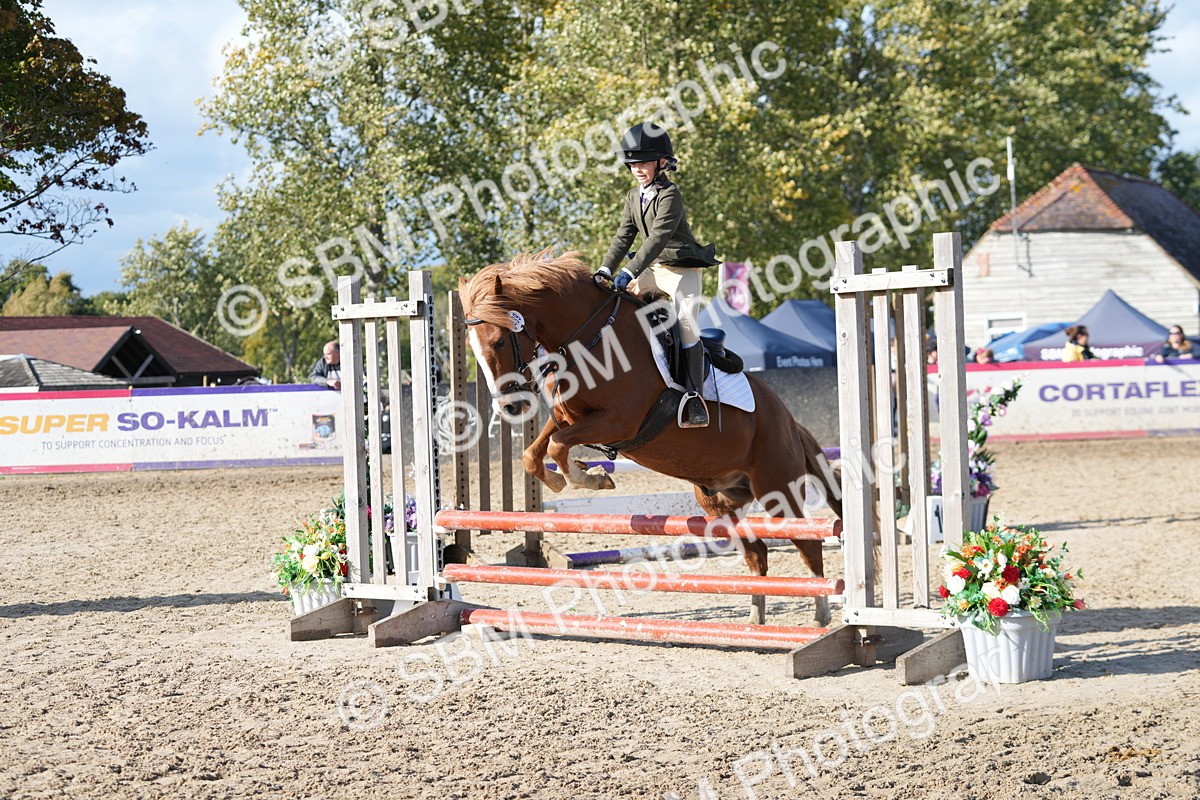 SBM_49371 - J8 - Junior Pony 65cm Championship