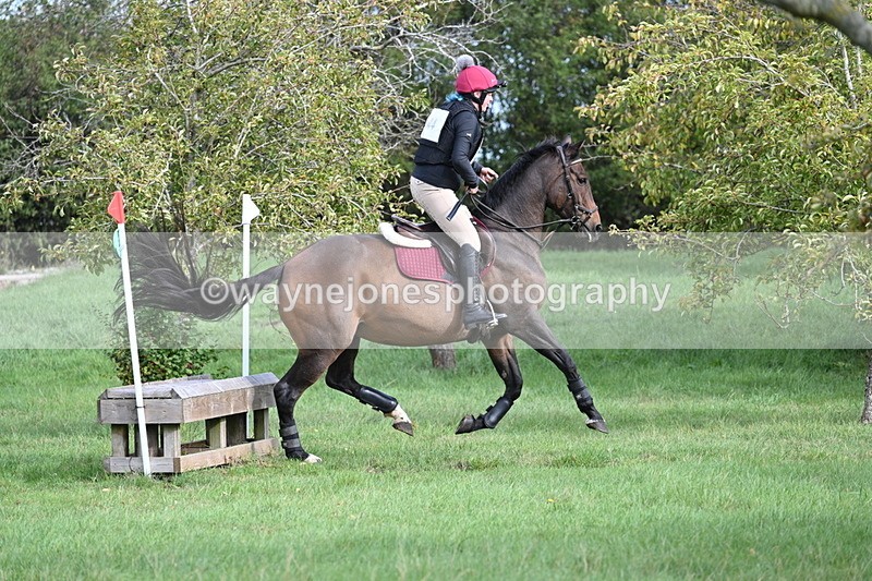 WJ7_8318 - 60cm Pairs